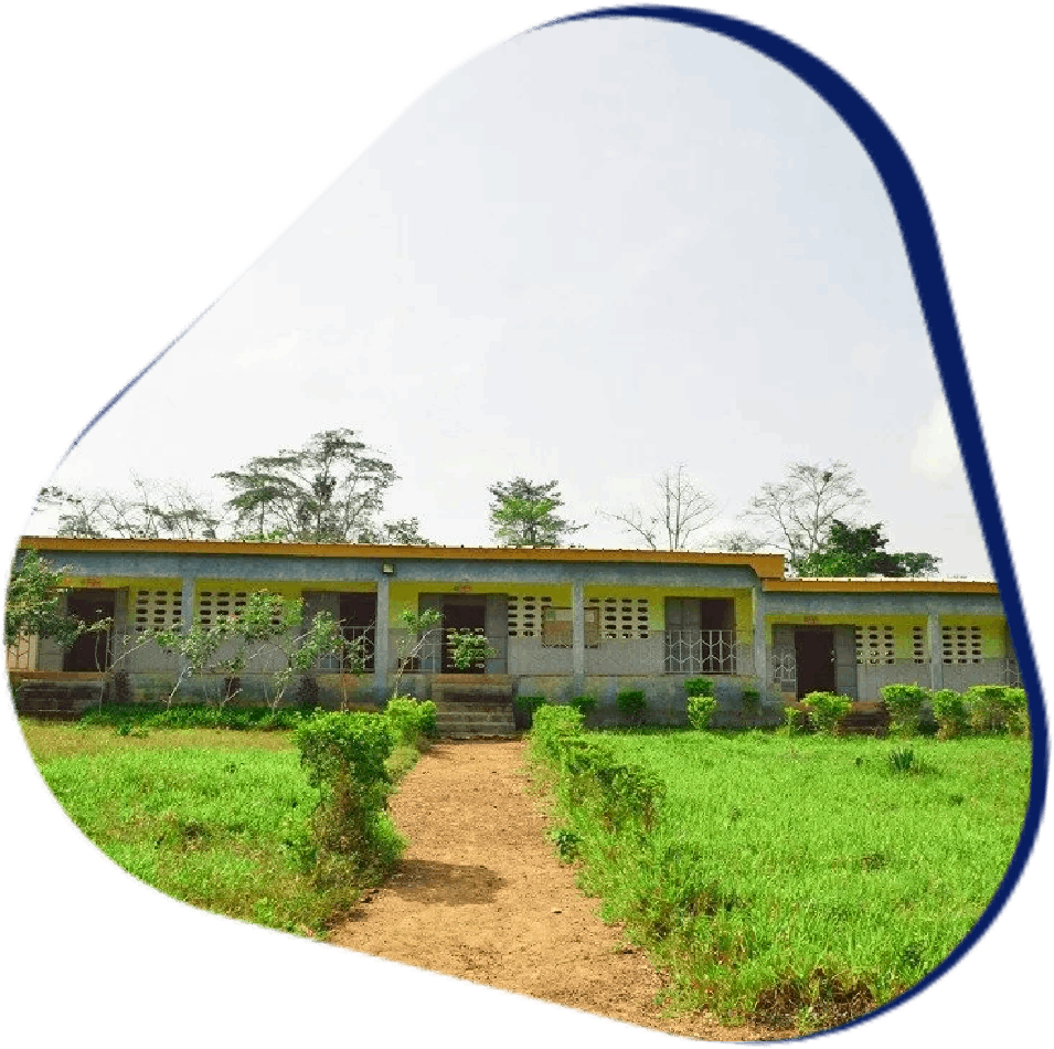 Rural building with green surroundings

